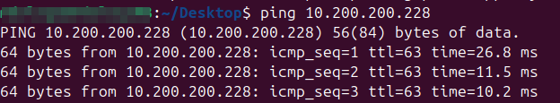 ../_images/test_ping_ds.png