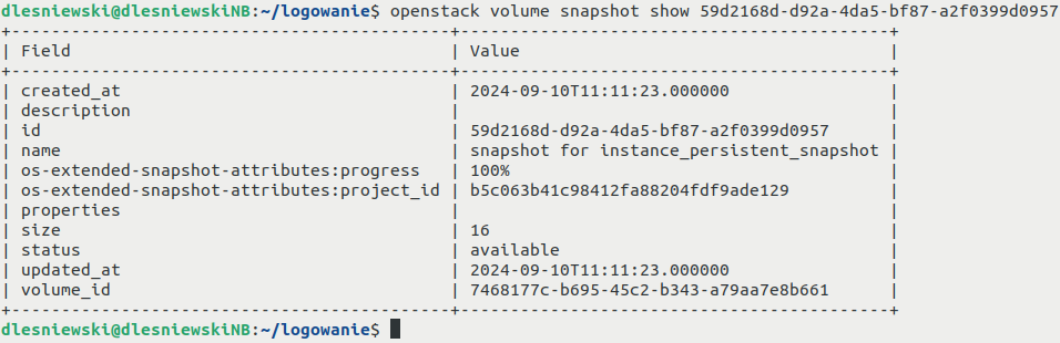 ../_images/how-to-create-instance-snapshot-cli-19_creodias1.png