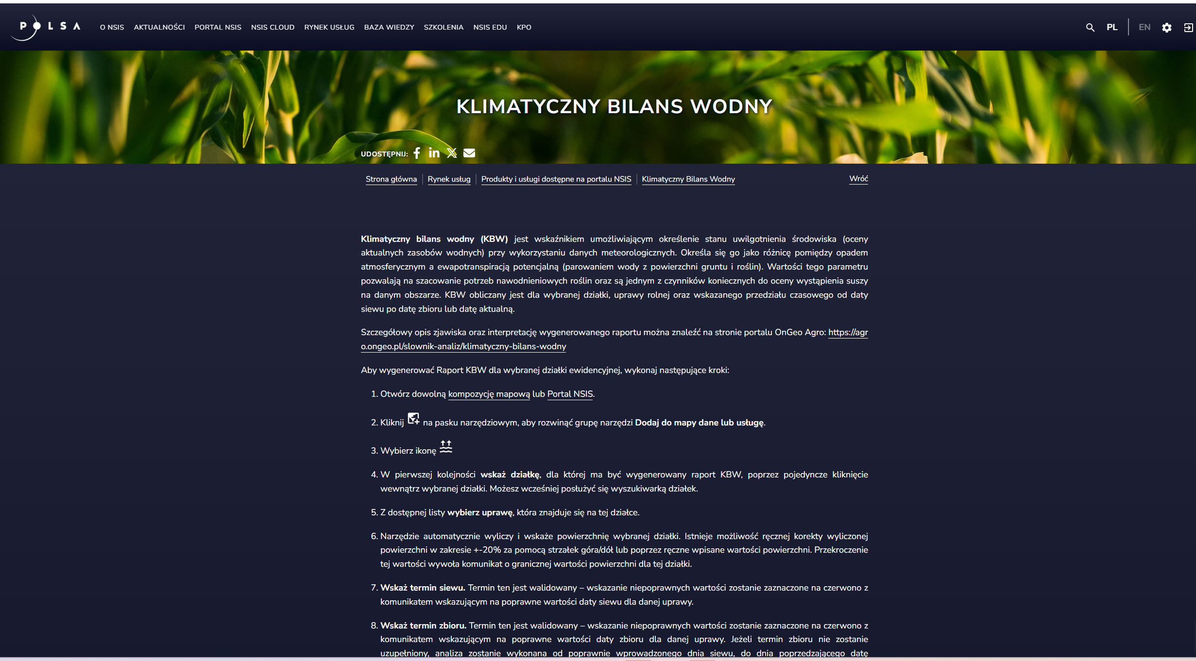 Usługa w portalu NSIS