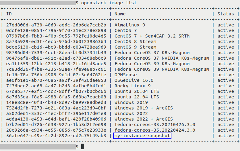 ../_images/start_vm_instance_snapshot_cli-01_creodias1.png